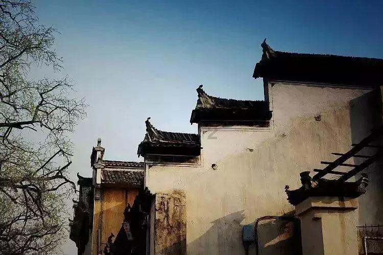 分居时候，一方独自抚养孩子所花的费用，在离婚时能向另一方追缴回一半吗？游戏画面